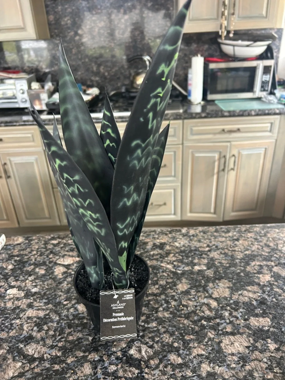 ASHLAND FAUX PREMADE SANSEVIERIA PLANT W DARK AND LIGHT GREEN LEAVES NWT